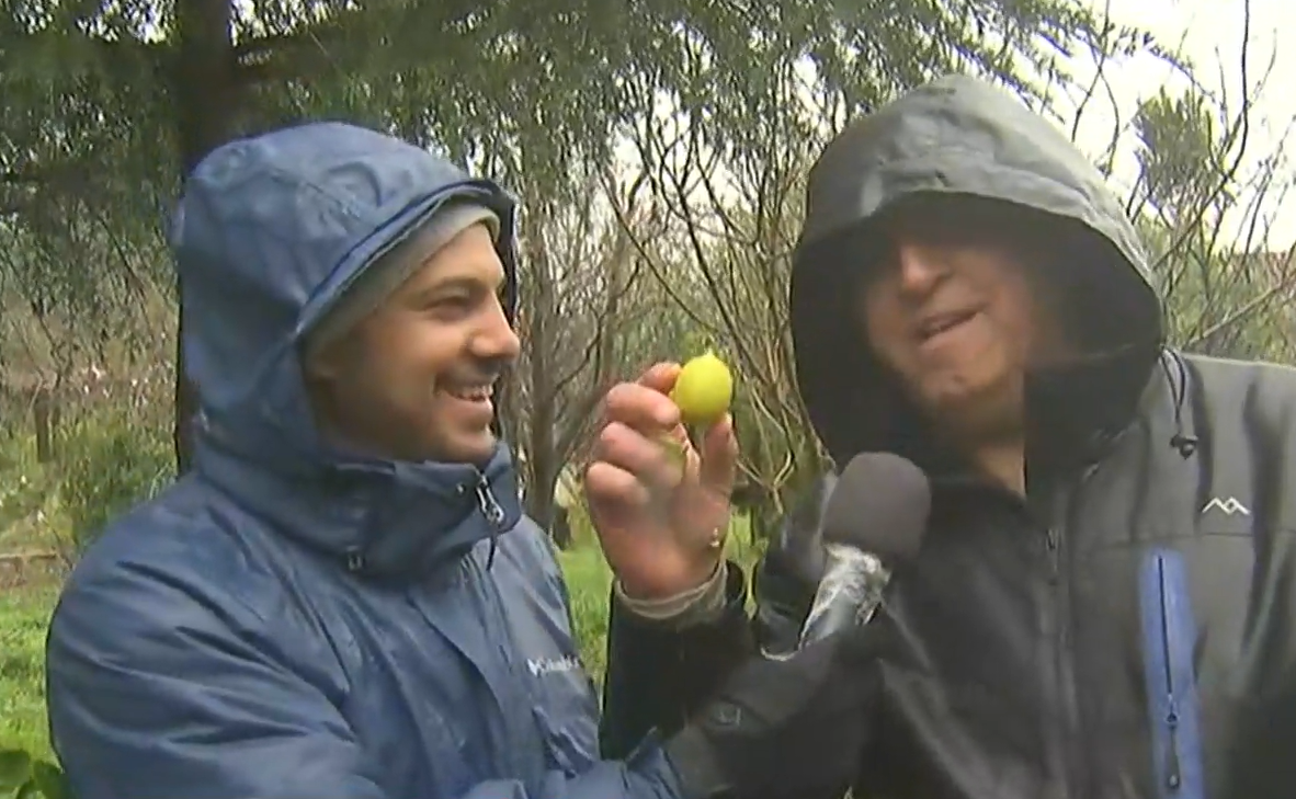 Iván Torres muestra las propiedades de su terreno: mucha vegetación.